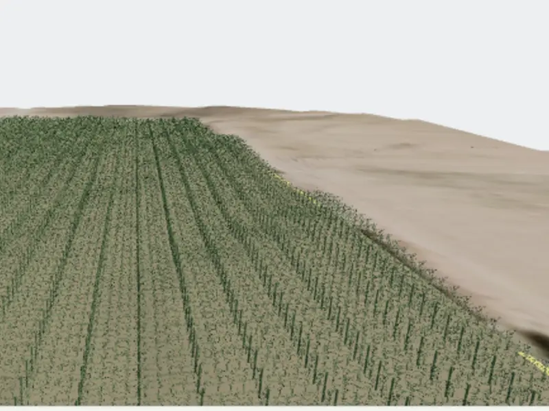 Maqueta 3D de una parcela de viñedo generada con LiDAR, con las cepas fila a fila.